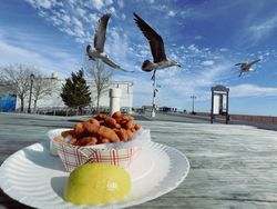 Fried clams and seagulls at Coney Island in Brooklyn, NY