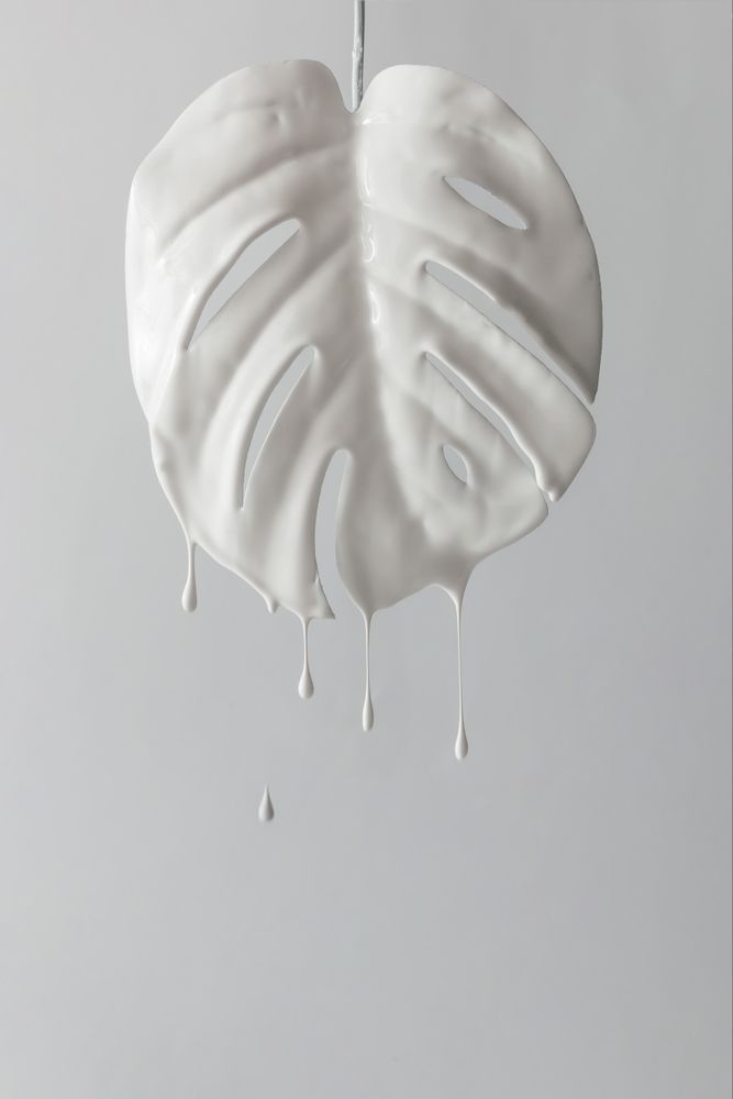 Painted monstera tropical leaf with dripping paint