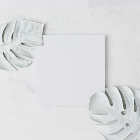 Painted leaves, on light background with light -colored paper