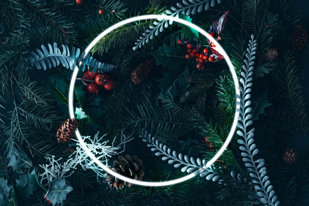 Holiday pine trees with mistletoe and pine cones with  central circle
