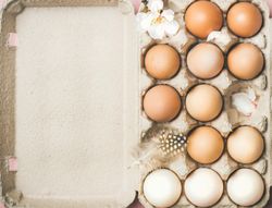 Easter spring holiday background, greeting card concept