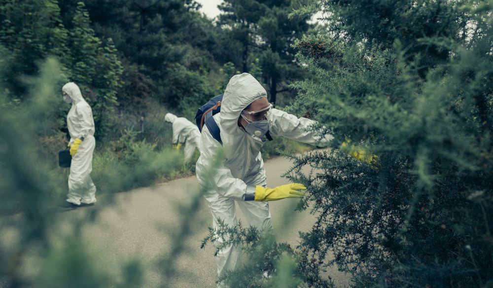 People with protection suits looking for evidence