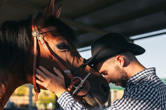 Man taking care of his brown horse in an equestrian center