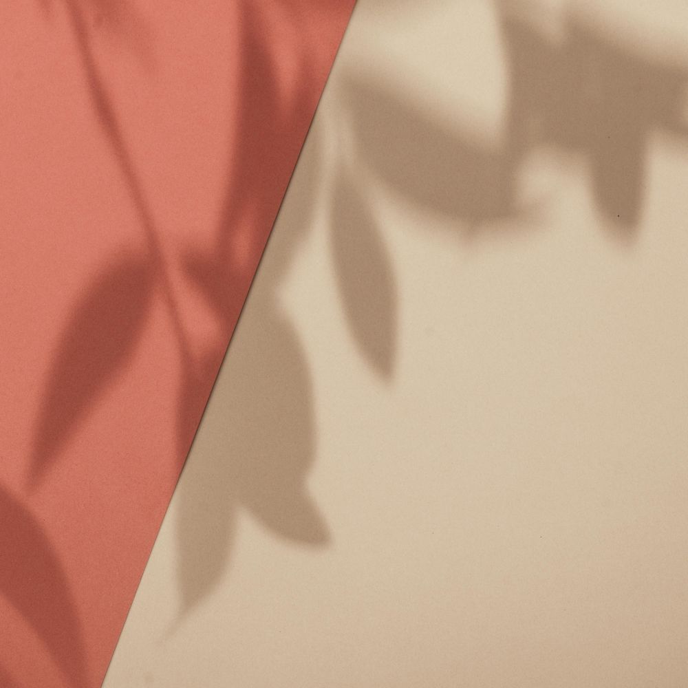 Top view of tropical leaf shadow on orange and sand color background