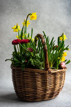Spring floral composition of flowers in basket