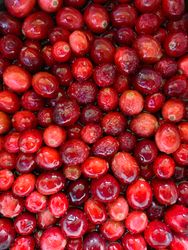 Shiny cranberries