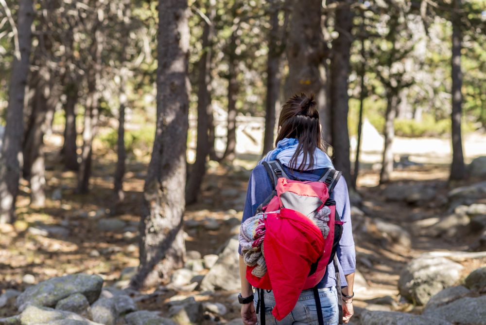 Rear of woman walking among trees in the woods