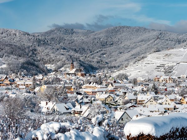 Winter's Tale. Snow-covered clean light landscape of Alsace.