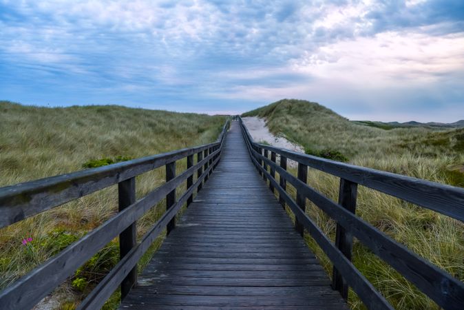Wooden footpath after rain on Sylt island, Germany