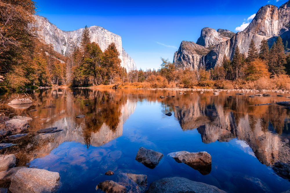Yosemite National Park in Wawona, California, United States 
