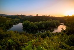 Peaceful river flowing in green nature
