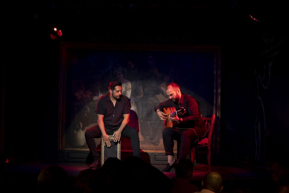 Musicians playing instruments on stage