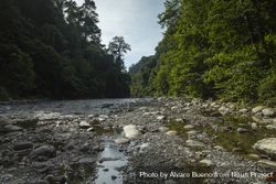 The Bohorok River, in Gunung Leuser National Park, North Sumatra, Indonesia 5ka9Wb