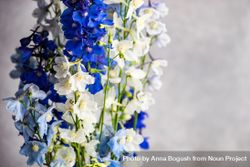 Fresh blue summer floral box 5lVGxV