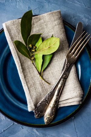 Top view of blue plate table setting with bay leaf and napkin