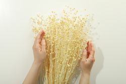 Hands arranging dried flower bunch in bright room