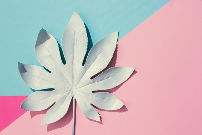 Tropical leaf on geometric pastel pink and blue background