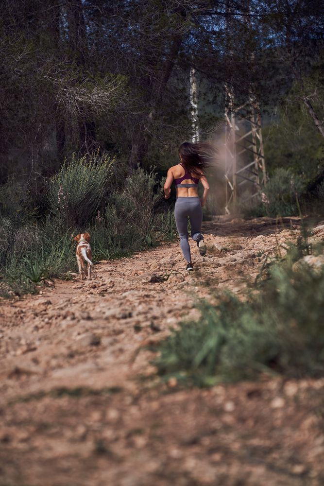 Unrecognizable sportswoman jogging on alley near dog in woods