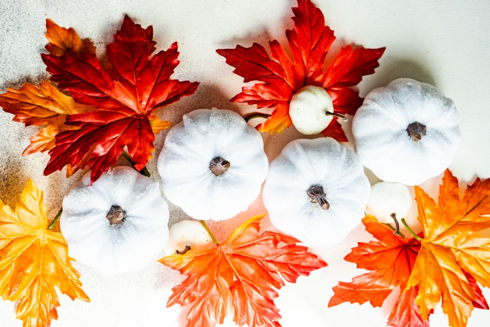 Light squash decorations with colorful autumn leaves
