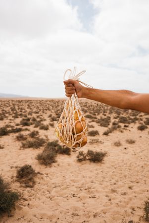 Person holding mesh bag of fruit in arid climate