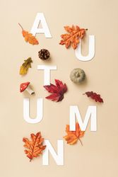 Autumn letters with leaves and fall fruits
