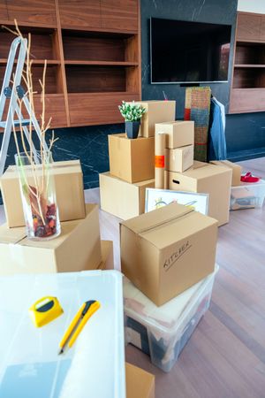 Living room with moving boxes