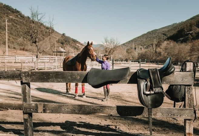 Woman stroking horse on ranch