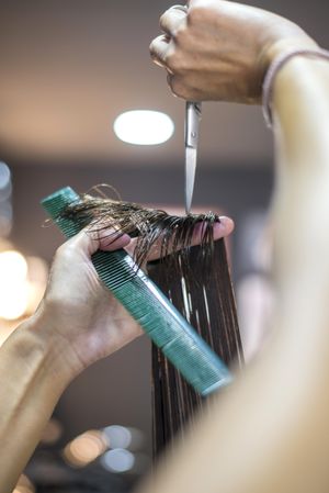 Hair stylist holding up brunette wet hair and cutting