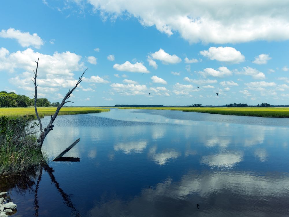 Sluice Creek in Cape May Court House, New Jersey