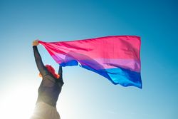 Back view of woman waving bisexual flag under blue sky 5RJO25