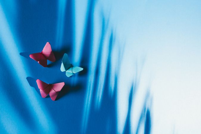 Paper butterflies on silk cloth