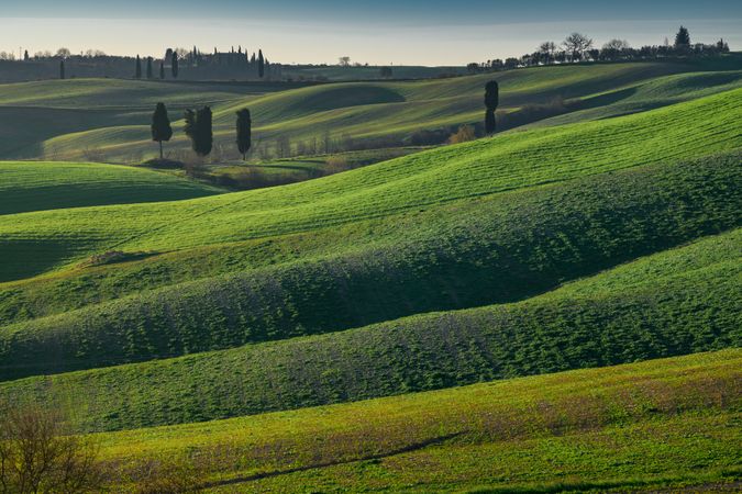 Wonderful empty green fields