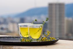 Side view of two glasses of limoncello with garnish