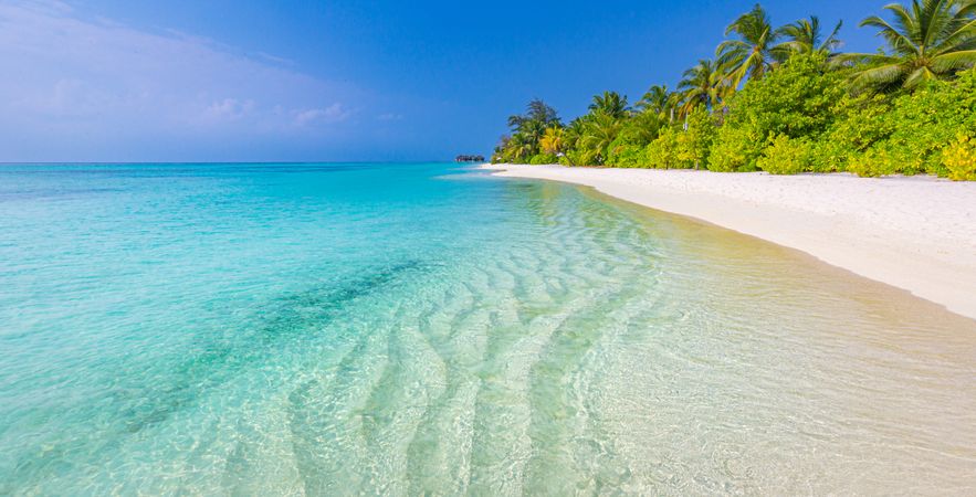 Wide shot of crystal clear waters coming up on a tropical beach