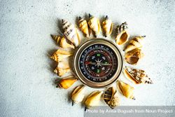 Seashells surrounding compass 5XrZoV