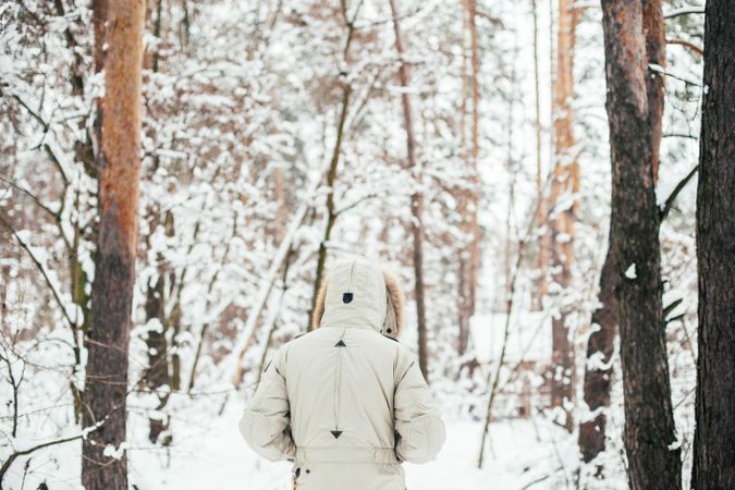 Rear view of man walking through snowfall