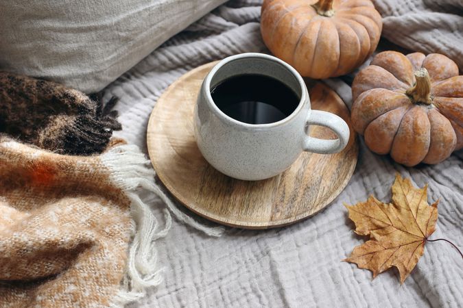 Cozy Halloween, Thanksgiving scene with cup of coffee, wool blanket, maple leaf and pumpkins on grey muslin table cloth