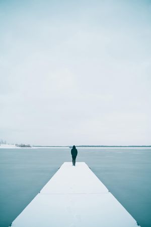 Person standing on glacier dock on lake during daytime