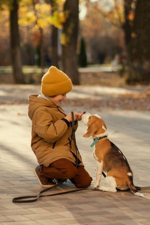 Little boy walks dog