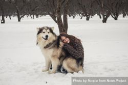 Woman hugging a husky dog on snow covered ground in woods 5671l4