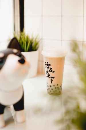 Milk bubble tea in Asian cafe