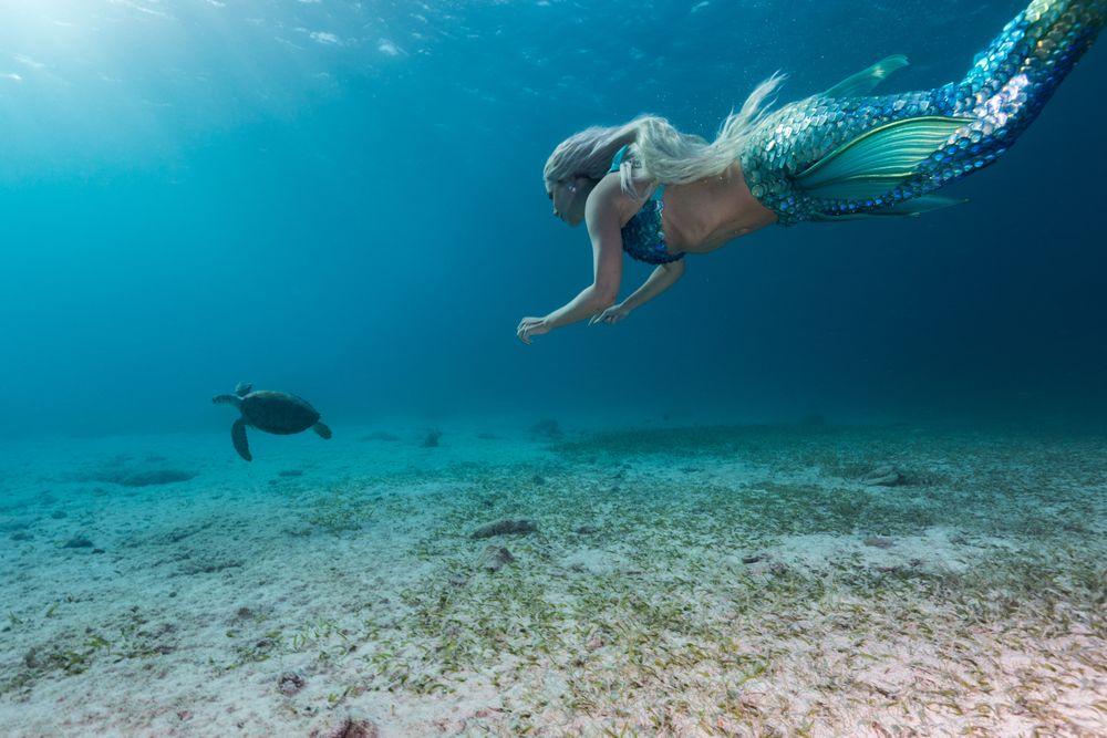 Blond fairytale female mermaid swimming with turtle