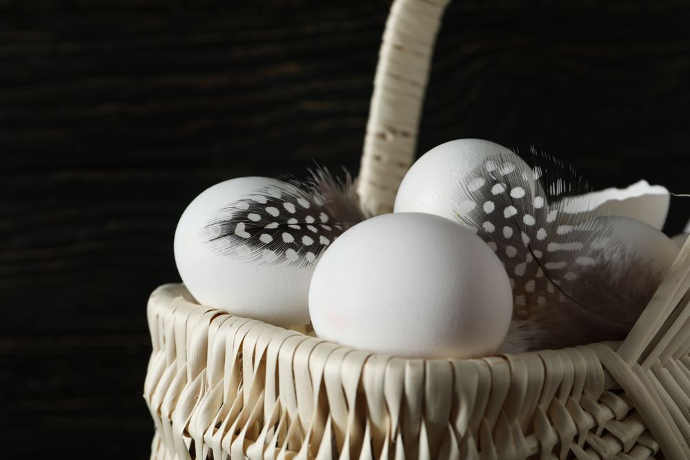 Concept of fresh and natural farm product - eggs