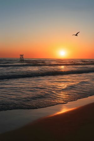 Capture the pristine beauty of a vibrant sunset over the ocean, where waves gently kiss the shoreline and a lone seagull soars through a serene, colorful sky