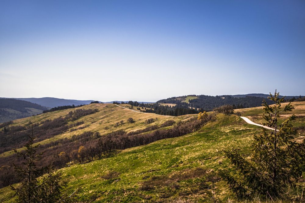 Clear mountain top with trail