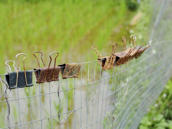 Rusty Foldback Clips