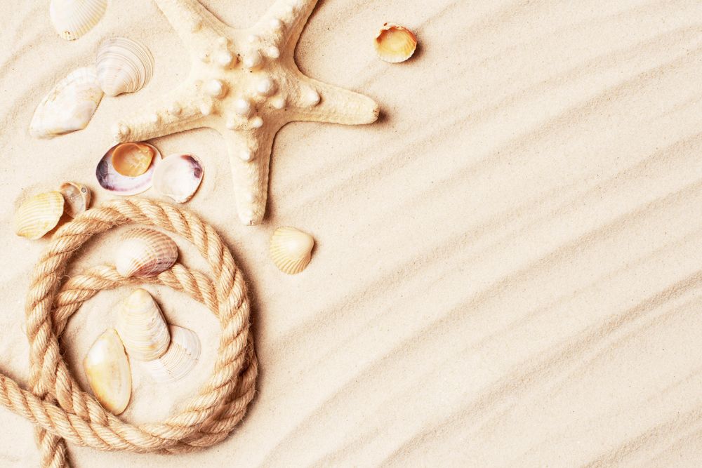 Sand with sea shells and rope, with copy space