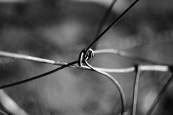 Tense barbed wire