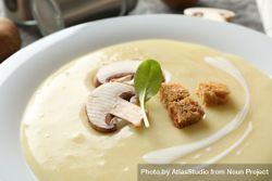 Close up of mushroom soup with croutons 5QGwEb
