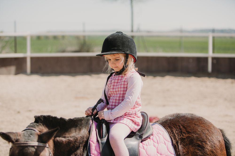 Little girl riding horse on hippodrome